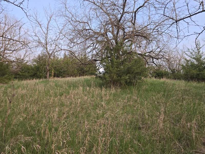 Listing photo 37